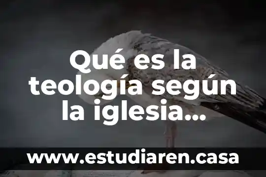 Qué es la teología según la iglesia católica