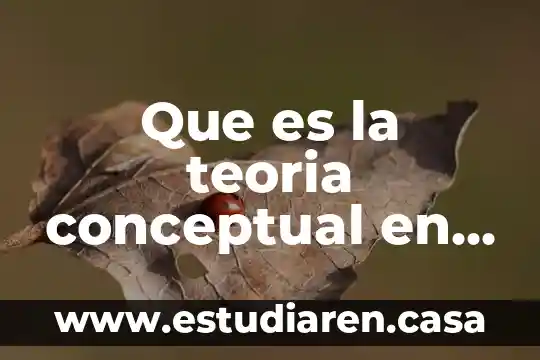 Qué es un mapa conceptual y ejemplo 8 Que es la teoria conceptual en el arte