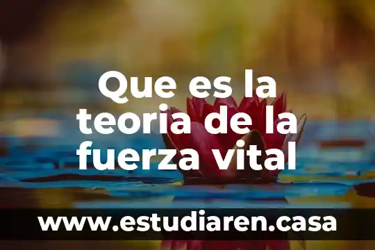 Que es la energia vital en homeopatia 3 Que es la teoria de la fuerza vital