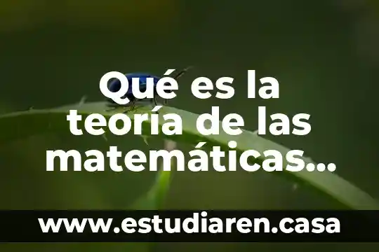Qué es la teoría de las matemáticas en administración
