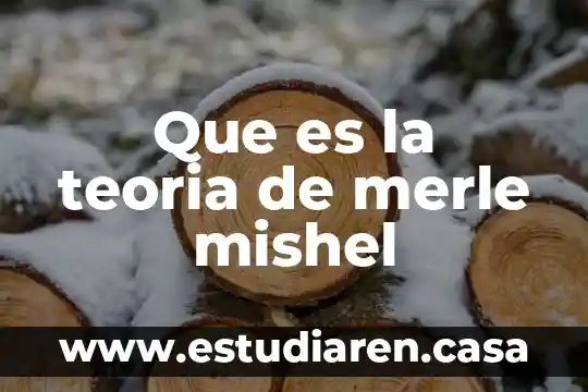 Qué es y para qué sirve un espin 4 Que es la teoria de merle mishel