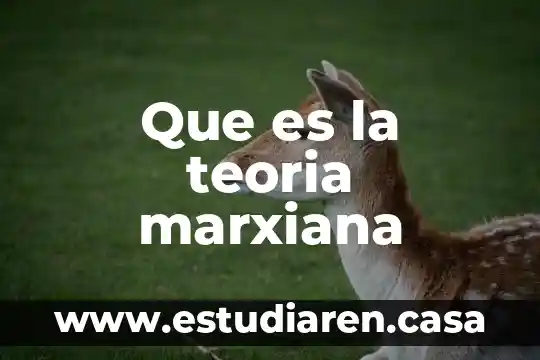 Que es la teoria marxiana