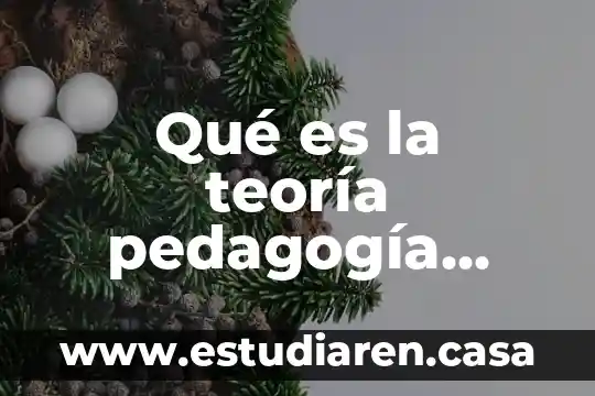 Que es la teoria pluralista 5 Qué es la teoría pedagogía cognitiva