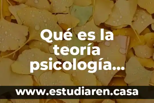Qué es la teoría psicología transpersonal de Stanislav