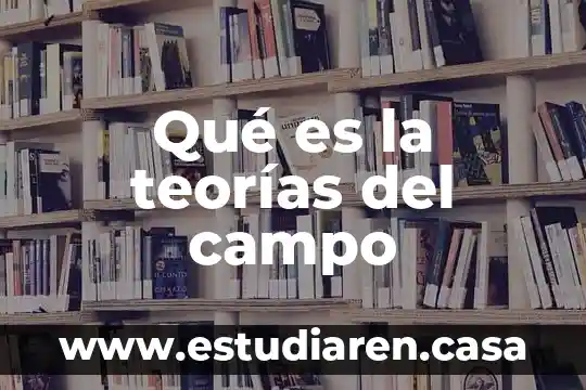 Qué es la teorías del campo