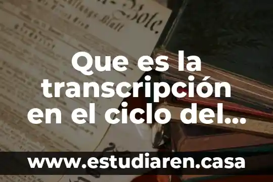 Que es la transcripción en el ciclo del agua