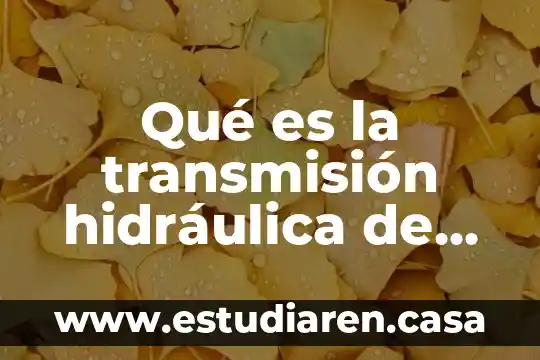 Qué es la transmisión hidráulica de fuerza