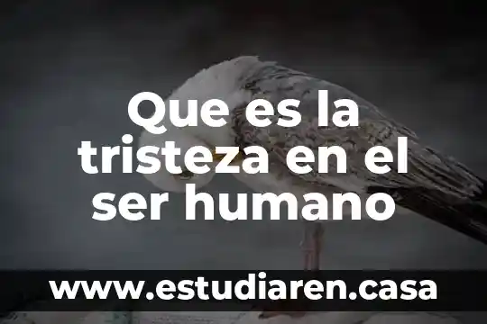 Que es la tristeza en el ser humano