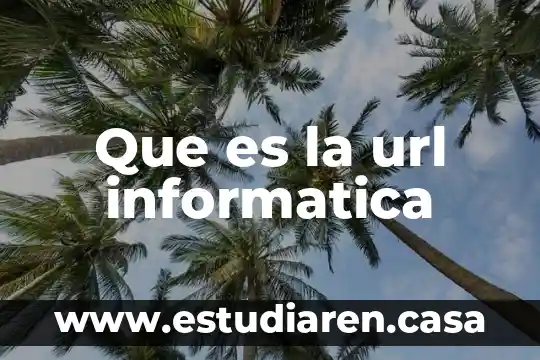 Que es la url informatica