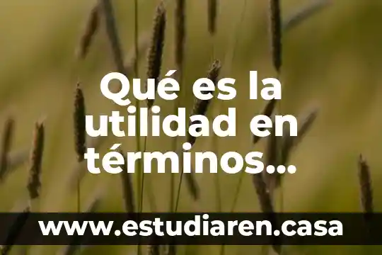 Que es cuortica en terminos de algebra 5 Qué es la utilidad en términos económicos