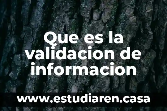 Que es la validacion de informacion