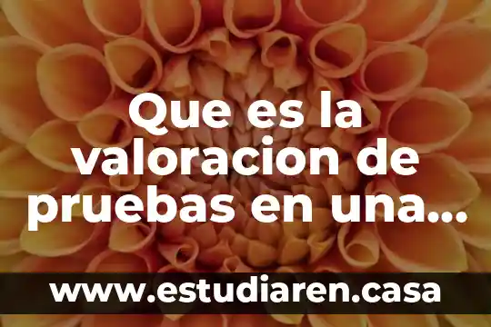Que es la valoracion de pruebas en una auditoria fiscal