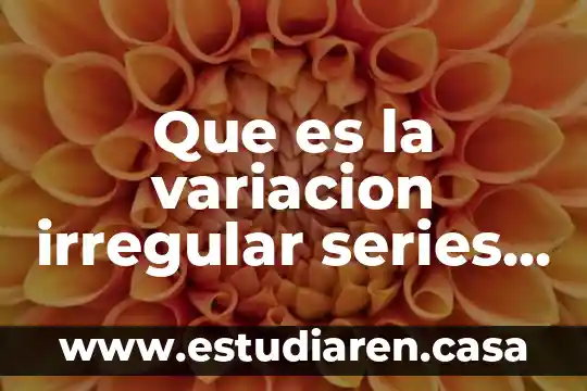 Web series transmedia que es 3 Que es la variacion irregular series de tiempo