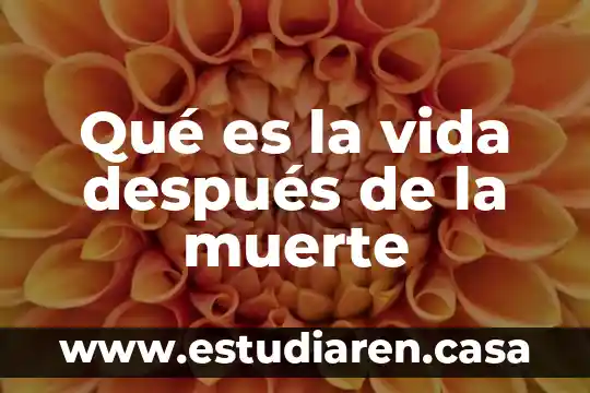 Qué es la vida después de la muerte