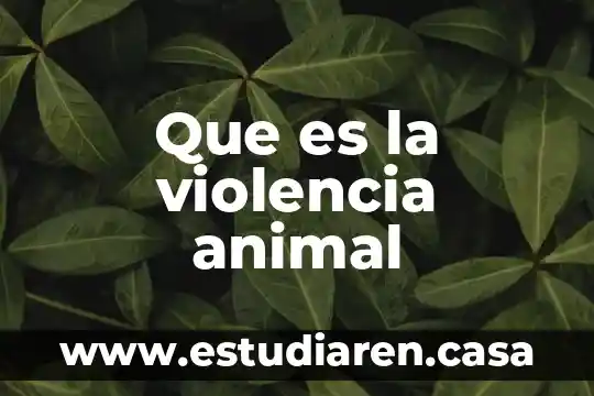Que es la violencia animal