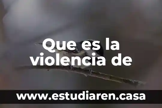 Que es la violencia de