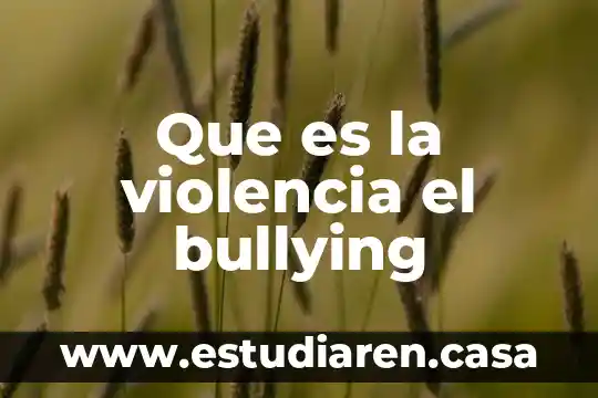 Que es la violencia el bullying