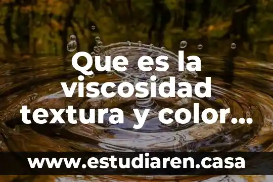 Que es la viscosidad textura y color de los alimentos