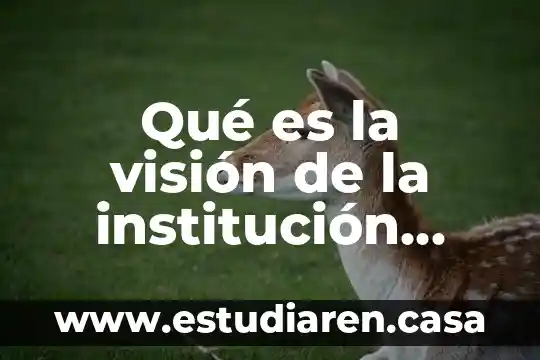 Qué es la visión de la institución educativa