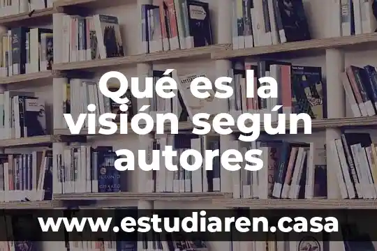 Qué es la visión según autores