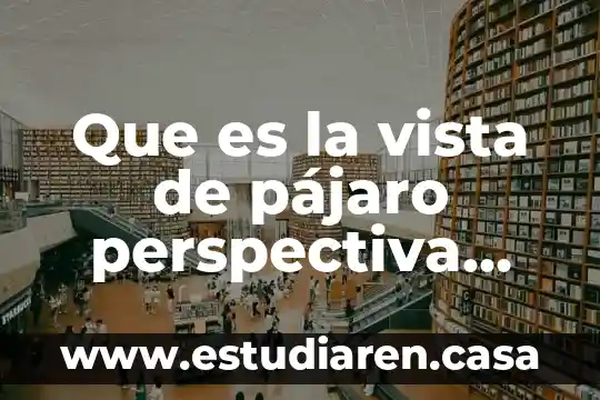 Qué es perspectiva ética 7 Que es la vista de pájaro perspectiva ejemplos