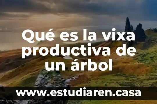 Que es le diagrame de arbol 3 Qué es la vixa productiva de un árbol