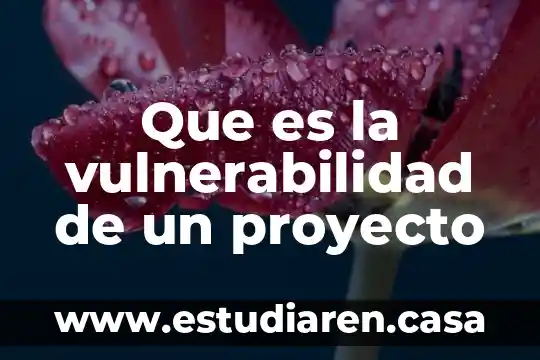 Que es la vulnerabilidad educativa tecnica 5 Que es la vulnerabilidad de un proyecto