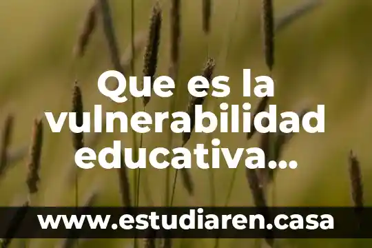 Que es la vulnerabilidad educativa tecnica 7 Que es la vulnerabilidad educativa tecnica