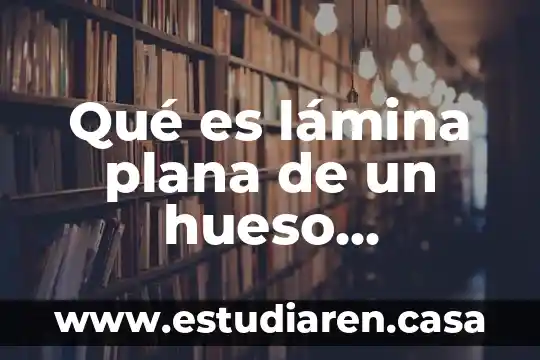 Ver que es una plana o asimutal 6 Qué es lámina plana de un hueso compacto