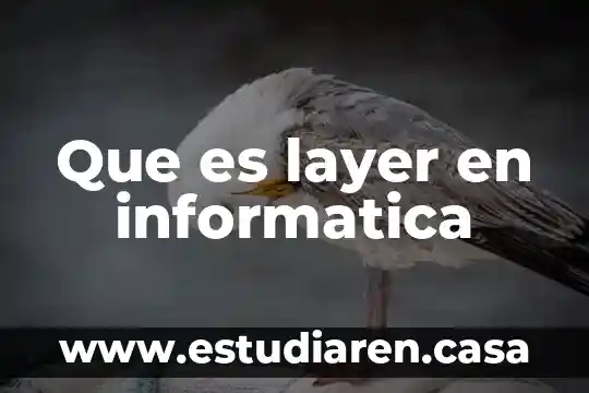 Que es un enlace informatica creador 7 Que es layer en informatica