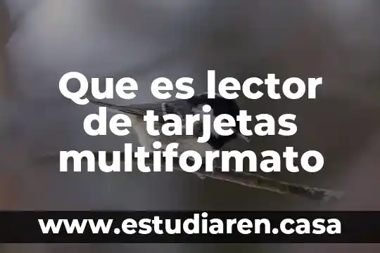 Que es lector de tarjetas multiformato 24 Que es lector de tarjetas multiformato