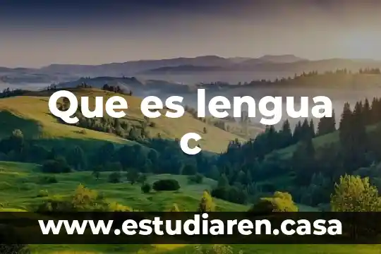 If c que es 8 Que es lengua c
