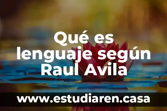 Que es un juicio sucesorio intestamentario según autores mexicanos 4 Qué es lenguaje según Raul Avila