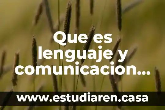 Que es un proposito educativo ejemplos 4 Que es lenguaje y comunicacion enfoque proposito competencia aspectos