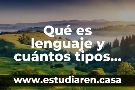 Qué es lenguaje y cuántos tipos hay