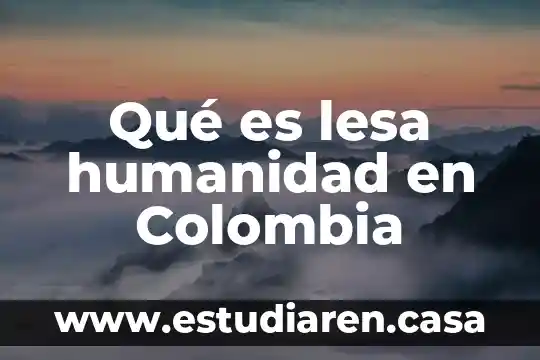 Qué es la inversión extranjera directa en Colombia 5 Qué es lesa humanidad en Colombia