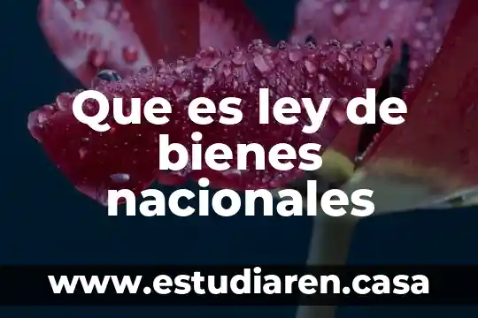 Que es un plan de adquisiciones de bienes y servicios 6 Que es ley de bienes nacionales
