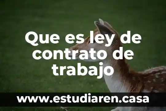 Qué es un contrato laboral indeterminado 8 Que es ley de contrato de trabajo