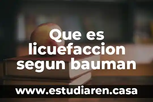 Que es licuefaccion segun bauman