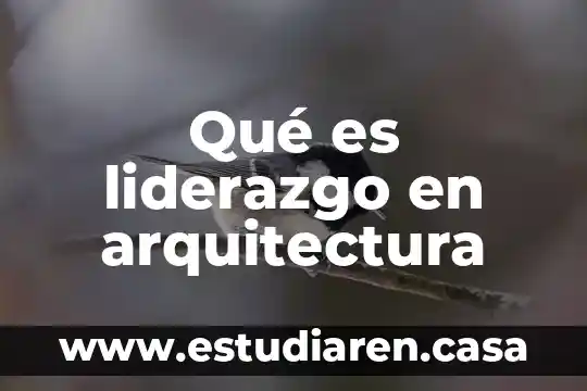 Qué es liderazgo en arquitectura