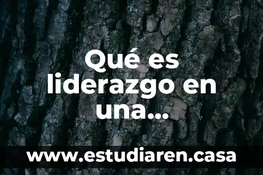 Qué es liderazgo en una organización