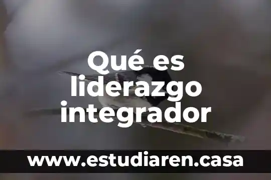 Qué es equipo integrador 3 Qué es liderazgo integrador