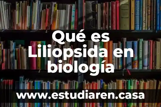 Qué es Liliopsida en biología