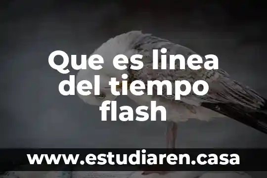 Que es linea del tiempo flash
