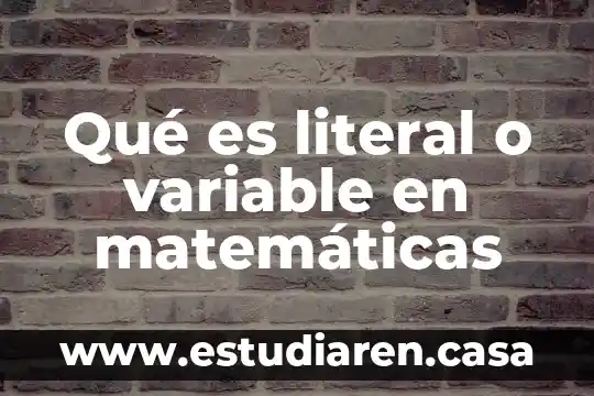 Que es la velocidad variable 5 Qué es literal o variable en matemáticas
