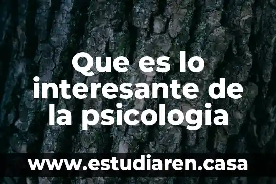 Que es la psicologia del color arquitectura 5 Que es lo interesante de la psicologia