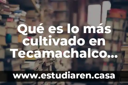 Grupo Butser Puebla 6 Qué es lo más cultivado en Tecamachalco, Puebla