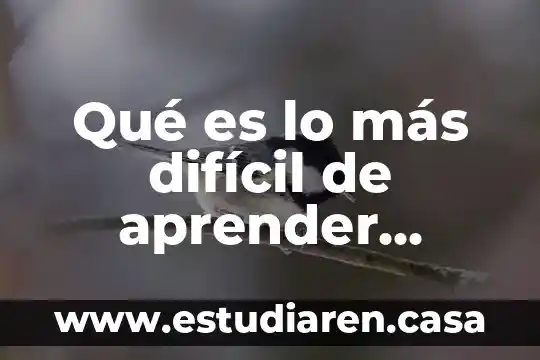 Qué es lo más difícil en un proyecto 6 Qué es lo más difícil de aprender japonés