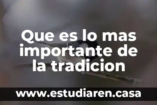 Por que es importante la capacitación en el area especial 7 Que es lo mas importante de la tradicion