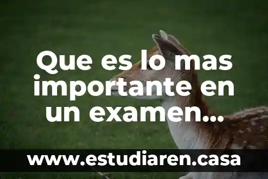 Que es lo mas importante en un examen toxicologico